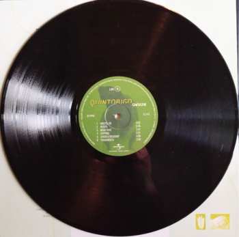 LP Quintorigo: Rospo