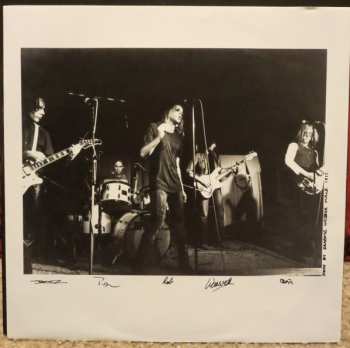 LP Radio Birdman: Radios Appear