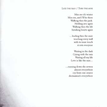 CD Rain Paint: Disillusion Of Purity