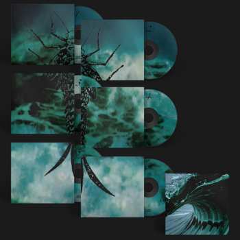 6CD/Zestaw pudełkowy Rainforest Spiritual Enslavement: Water Witches