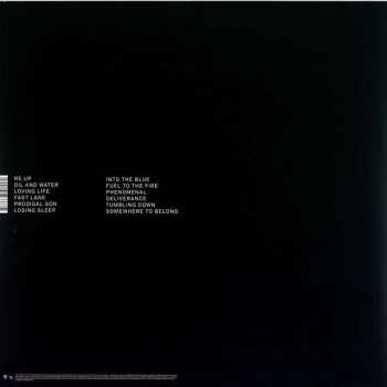 LP Rationale: Rationale