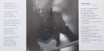 CD Ray Wylie Hubbard: Delirium Tremolos