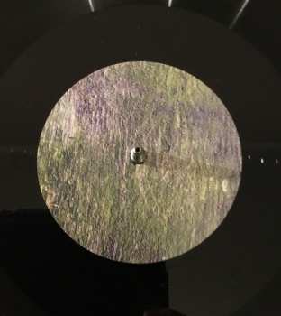 2LP Real Estate: The Main Thing