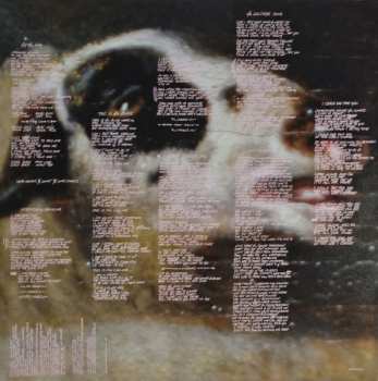 2LP Red Hot Chili Peppers: By The Way