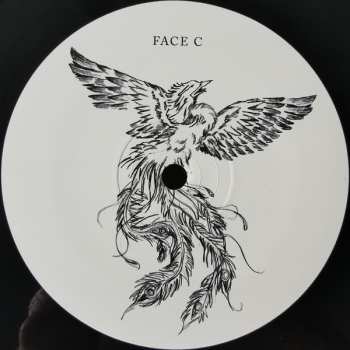 2LP/CD Renaud: Renaud