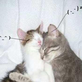 Album Retail Drugs: I Love You So !