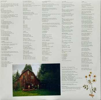 LP Rianne Downey: The Consequence Of Love CLR