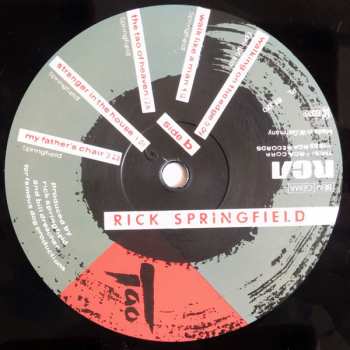 LP Rick Springfield: Tao