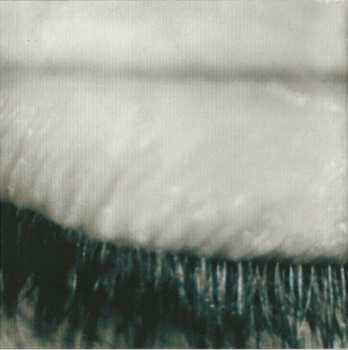 CD Rico: Sanctuary Medicines