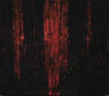 CD Robert Piotrowicz: Afterlife