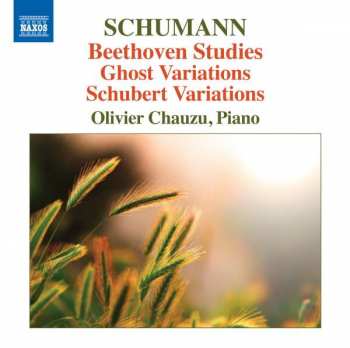 CD Robert Schumann: Beethoven Studies