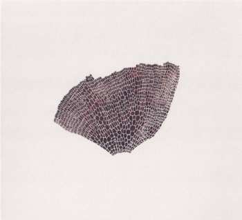 CD Roger Eno: The Turning Year