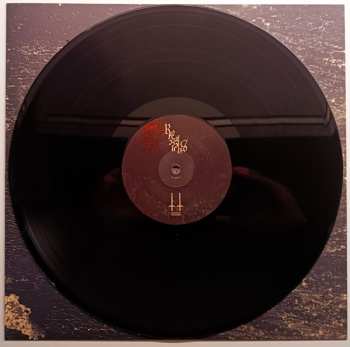 LP Rorcal: Silence LTD