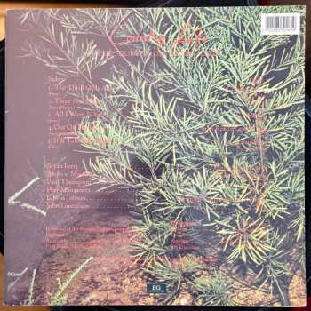 LP Roxy Music: Country Life