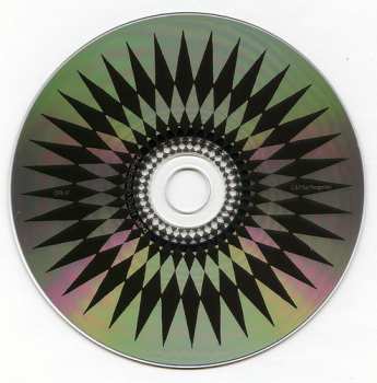 CD Roy Montgomery: The Allegory Of Hearing