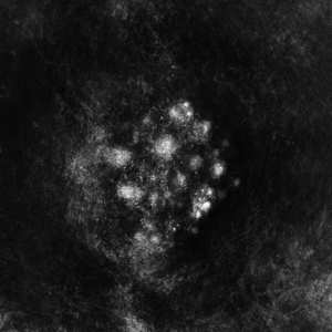 2LP Saffronkeira: Synecdoche