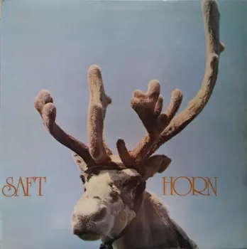 Horn
