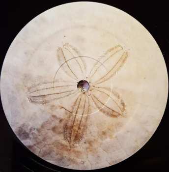 LP Sallie Ford: Soul Sick