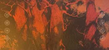 CD Sangre De Muerdago: O Xardin