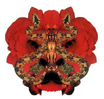 LP Santana: Festivál