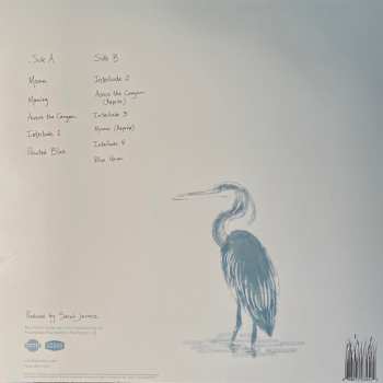 LP Sarah Jarosz: Blue Heron Suite