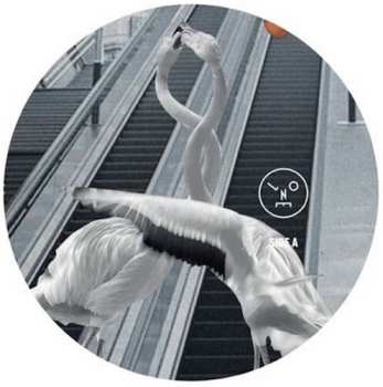 Album Sasha: Love Is All You Need