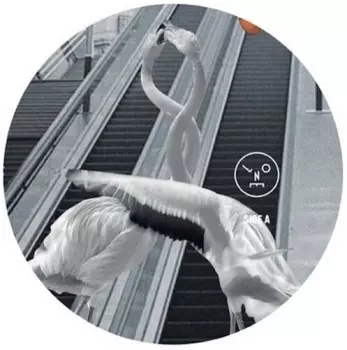 Love Is All You Need