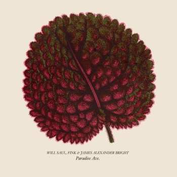 Album Saul,will / Fink / Bright,james Alexander: Paradise Ave