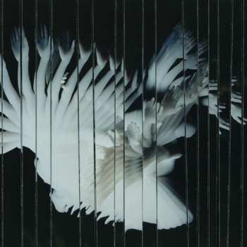 CD Scaler: Endlessly