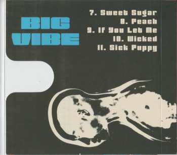 CD Seaway: Big Vibe