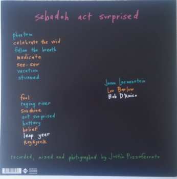 LP Sebadoh: Act Surprised CLR