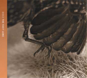 4CD/Zestaw pudełkowy Eagles: Selected Works 1972-1999