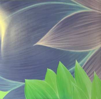 2LP Shakti: Mind Explosion