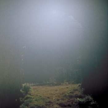 Album Shin Sasakubo: Venus Penguin