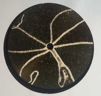 LP Signal: Echoes