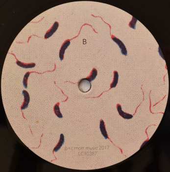 2LP Sóley: Team Dreams