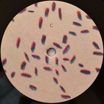 2LP Sóley: Team Dreams