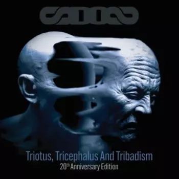 Six Degrees Of Separation: Triotus, Tricephalus And Tribadism
