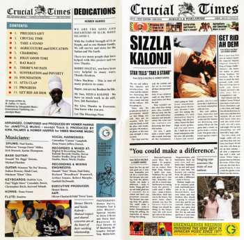 CD Sizzla: Crucial Times