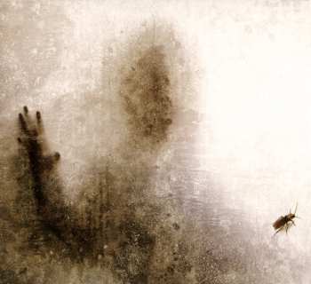 CD Skinlab: Venomous