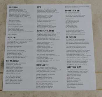 LP Skullcrack: Turn To Dust CLR