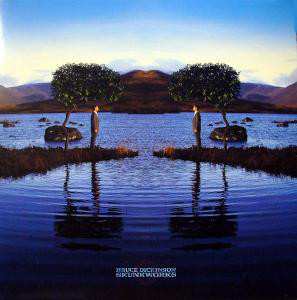 Album Bruce Dickinson: Skunkworks
