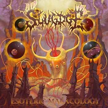 CD Slugdge: Esoteric Malacology