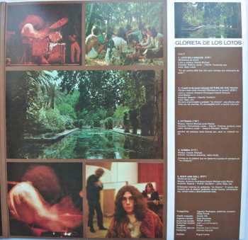 LP Smash: Glorieta De Los Lotos CLR | LTD