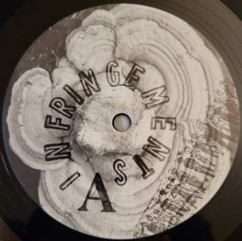 LP Smegma: Infringements LTD