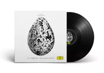 The Importance Of Birds