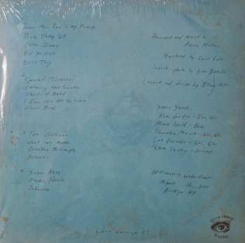 2LP Sonic Youth: Live In Brooklyn 2011 CLR | LTD