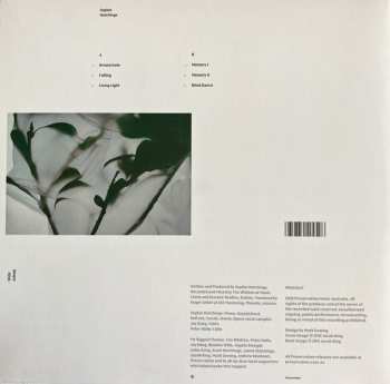 LP Sophie Hutchings: Wide Asleep