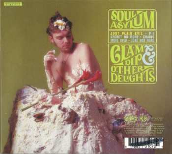 CD Soul Asylum: While You Were Out/Clam Dip & Other Delights
