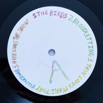 LP Spencer Radcliffe & Everyone Else: Hot Spring